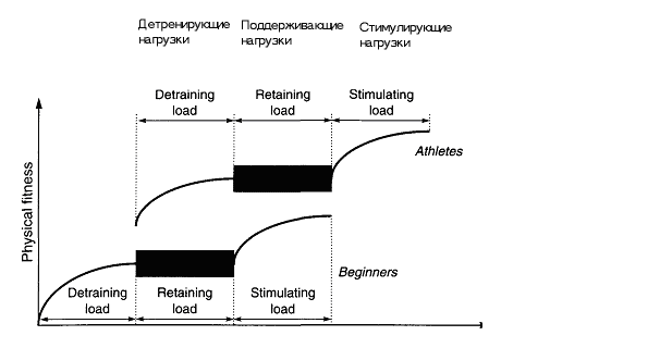 Зациорский 1